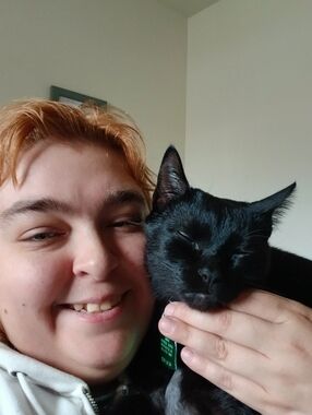 Meet your Posher, Heidi